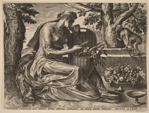 Gustus (Taste), by Cornelis Cort