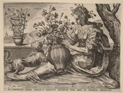 Odoratus (Smell), by Cornelis Cort