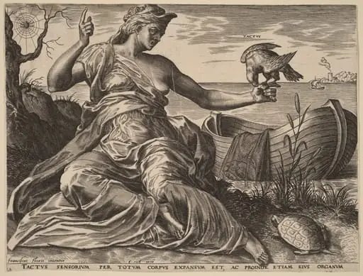 Tactus (Touch), by Cornelis Cort