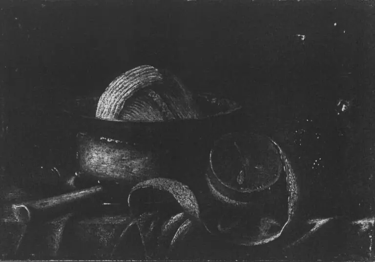 Cornelis de Bryer