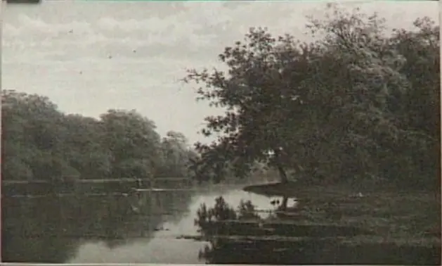 Herfst in het Haagse Bos, by Cornelis Johannes de Vogel