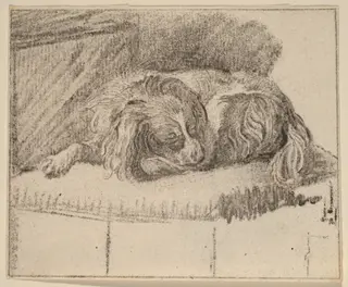 Lying Dog, by Cornelis Ploos van Amstel