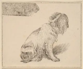 Seated Dog, by Cornelis Ploos van Amstel