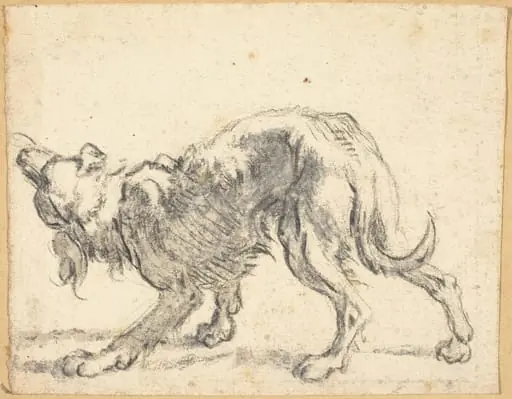 A Dog, by Cornelis Saftleven