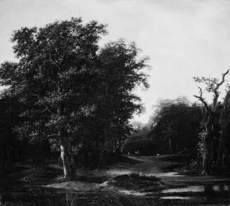 Forest Scenery, by Cornelis Vroom
