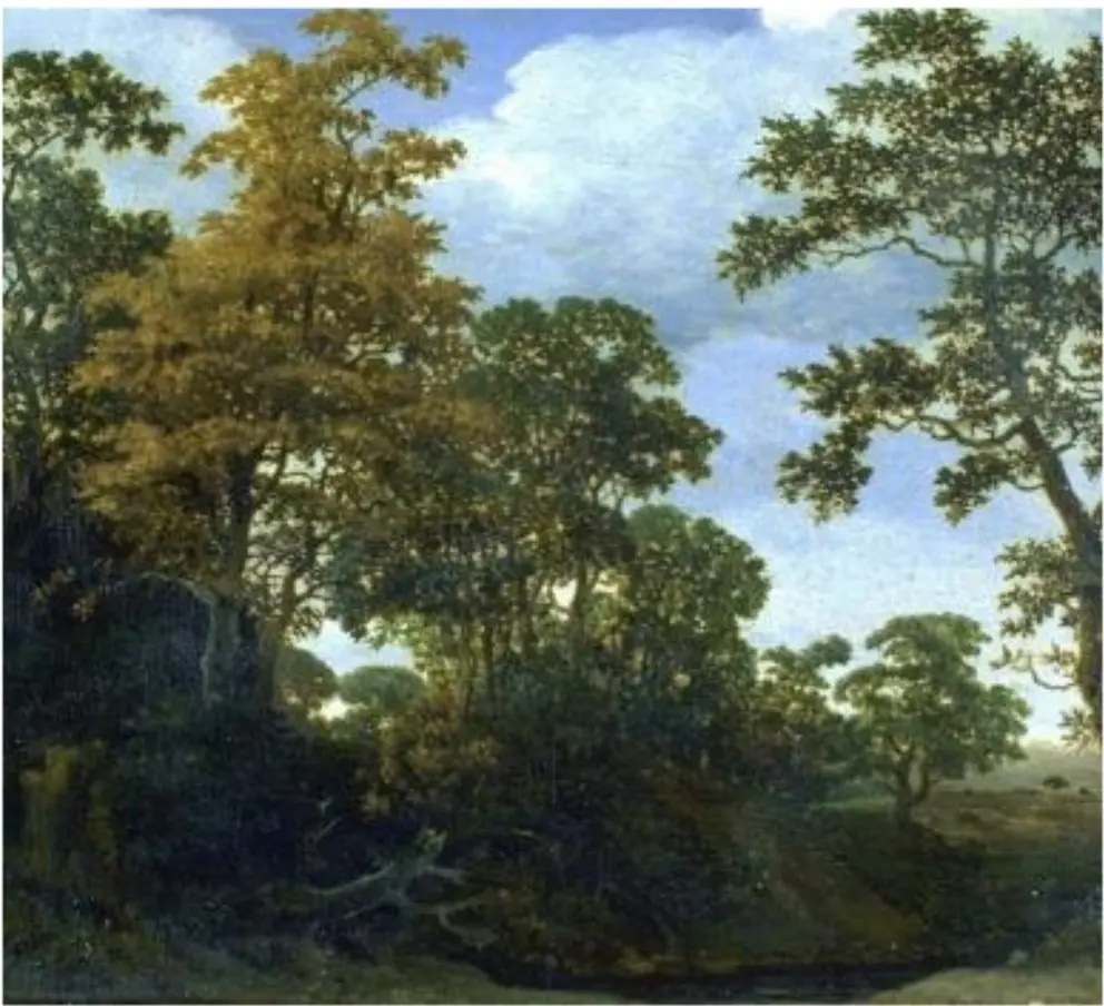 Waldlandschaft mit Gewässer