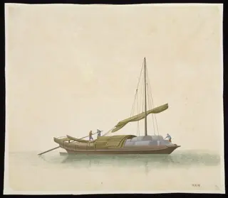 Cotton Ferry
