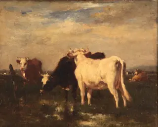 Cows in landscape