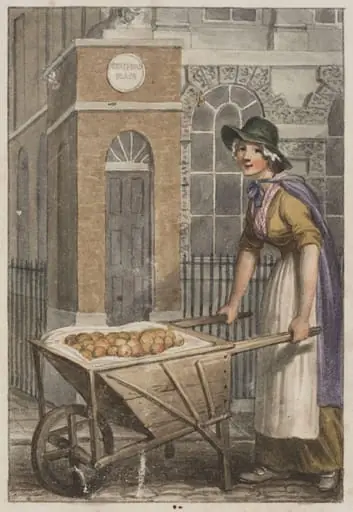Baking Or Boiling Apples! Dumpling Apples!, by Craig