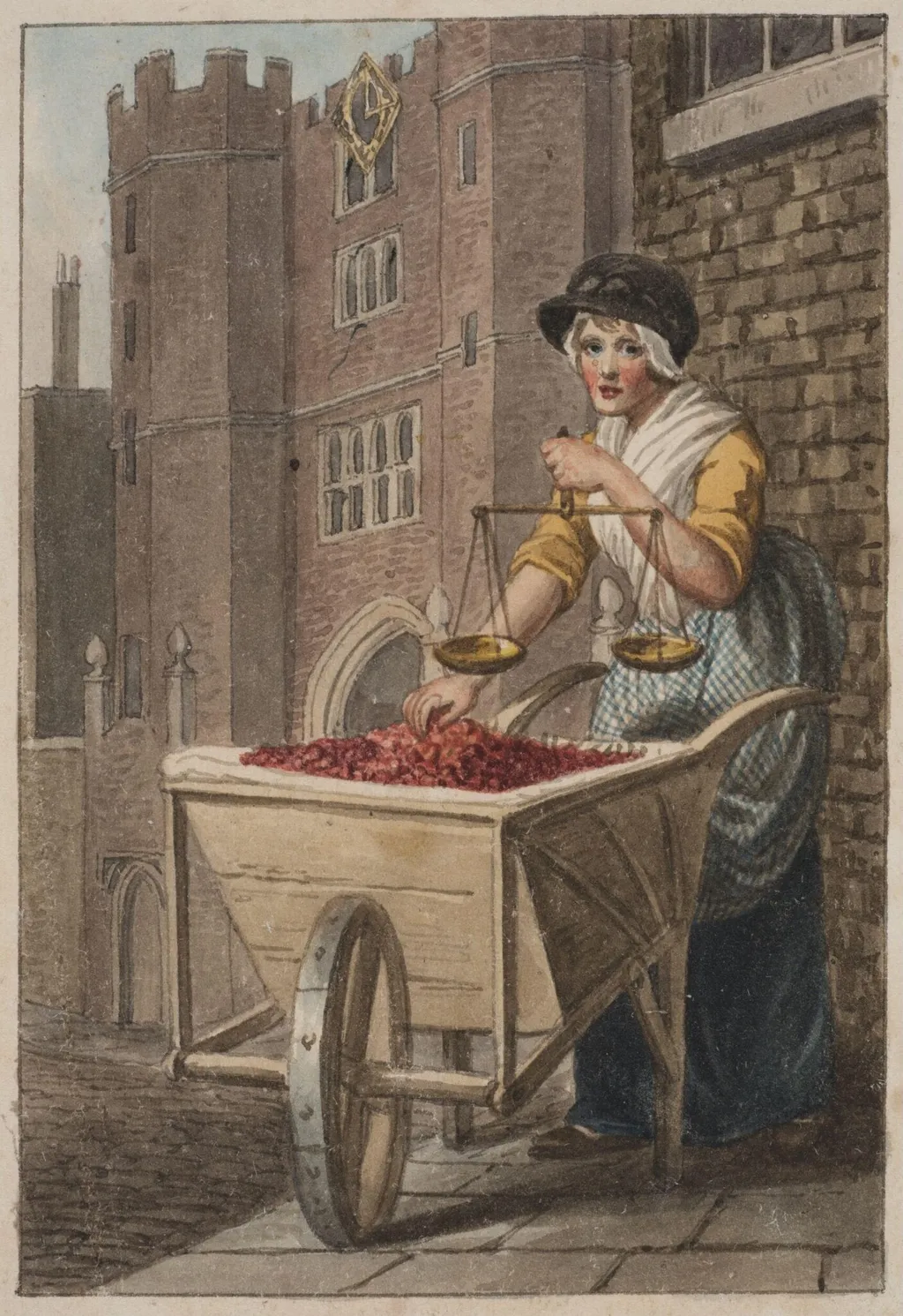 Cherries, by Craig, watercolor, 1804