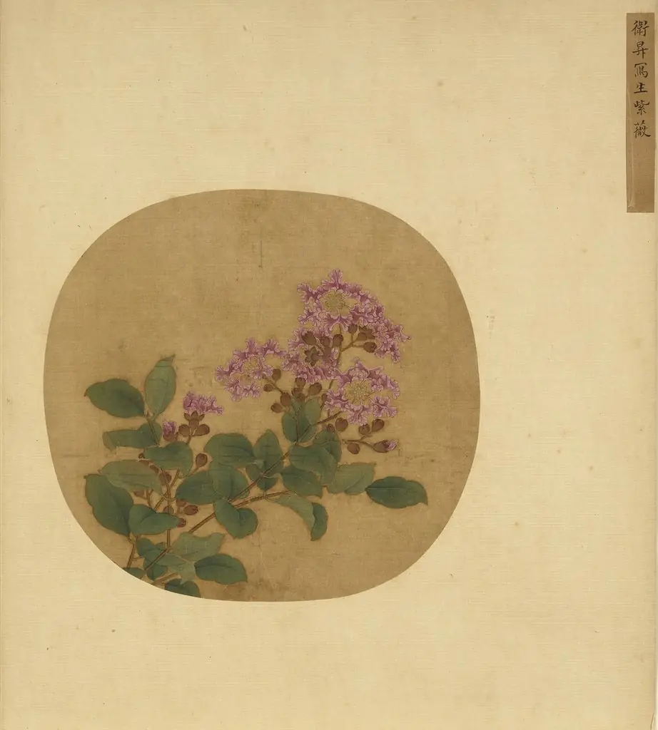 Crape Myrtle Sketched from Life