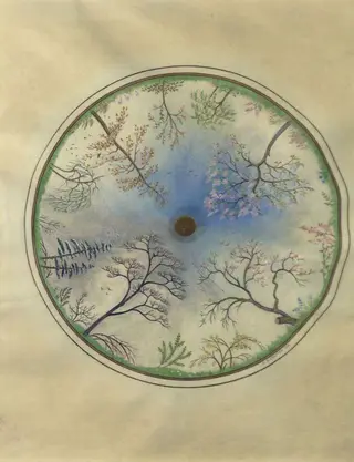 The Seasons
