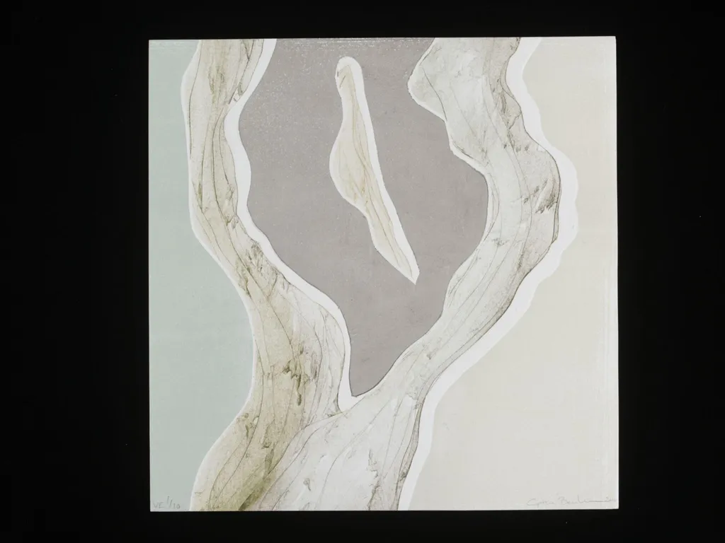 Crevice, by Cynthia Bernheim, 2010