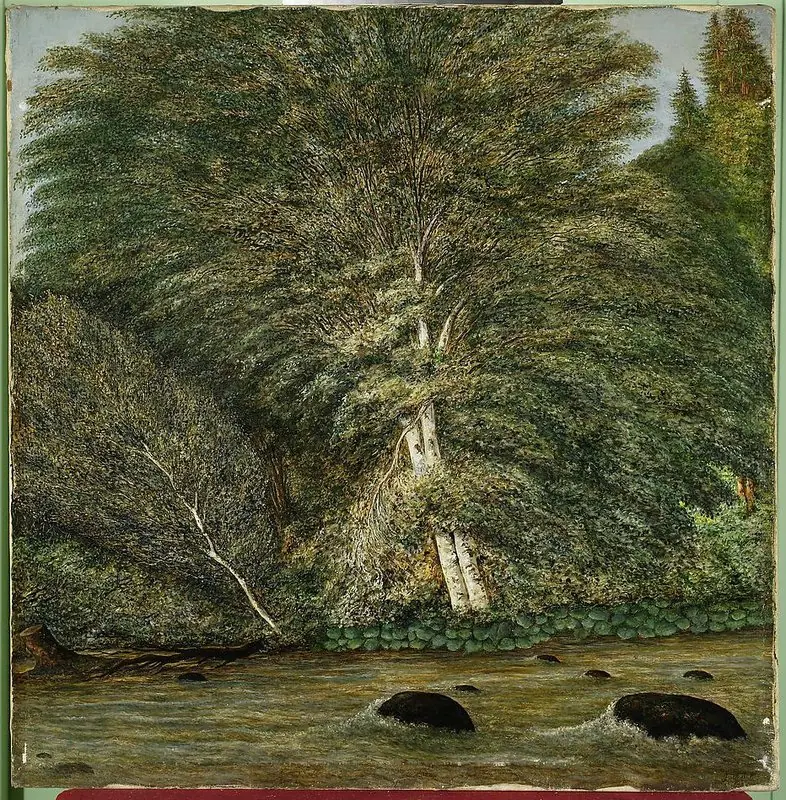 Forest nook in Ansee, by Cyprian Lachnicki