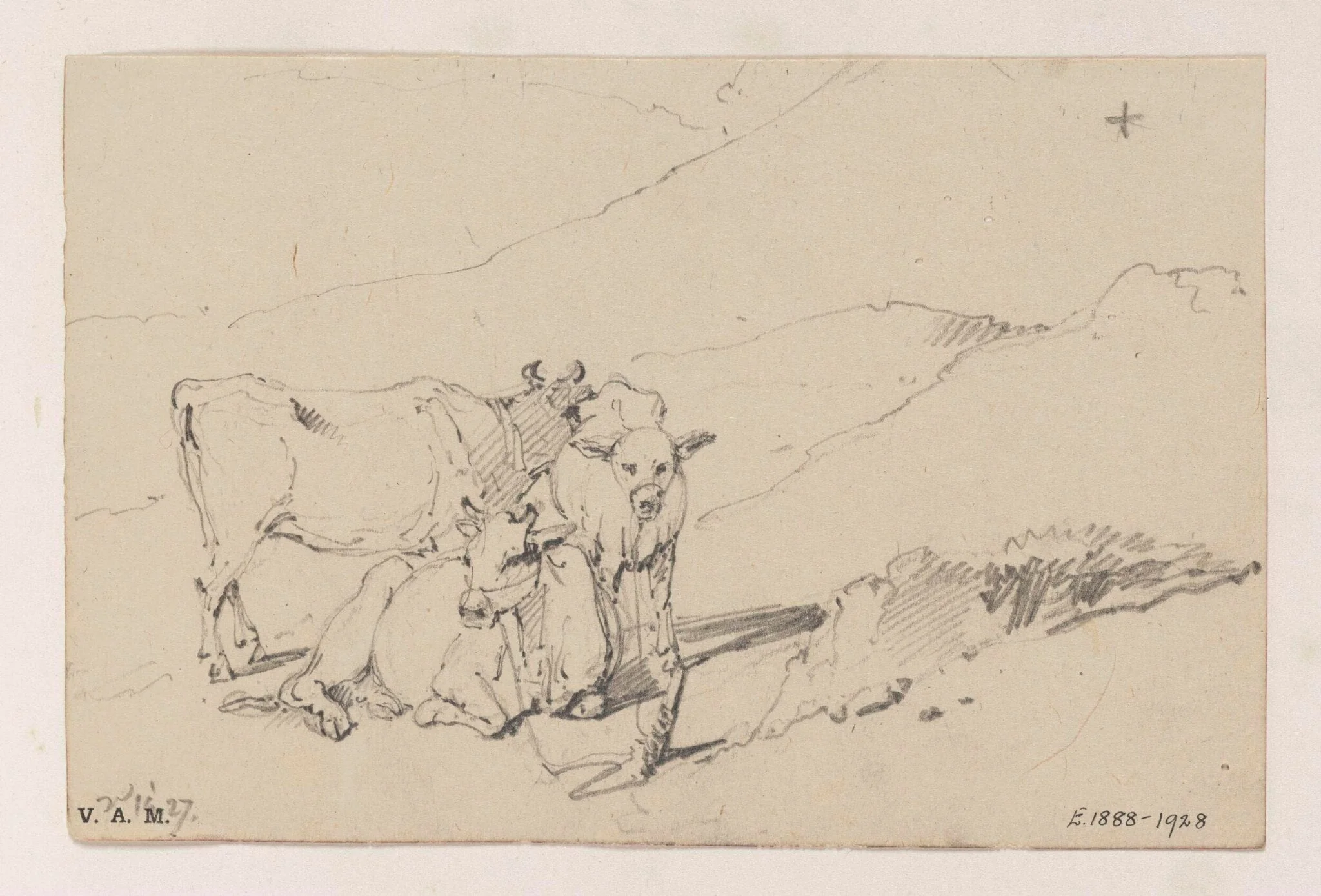 Three cows, detail
