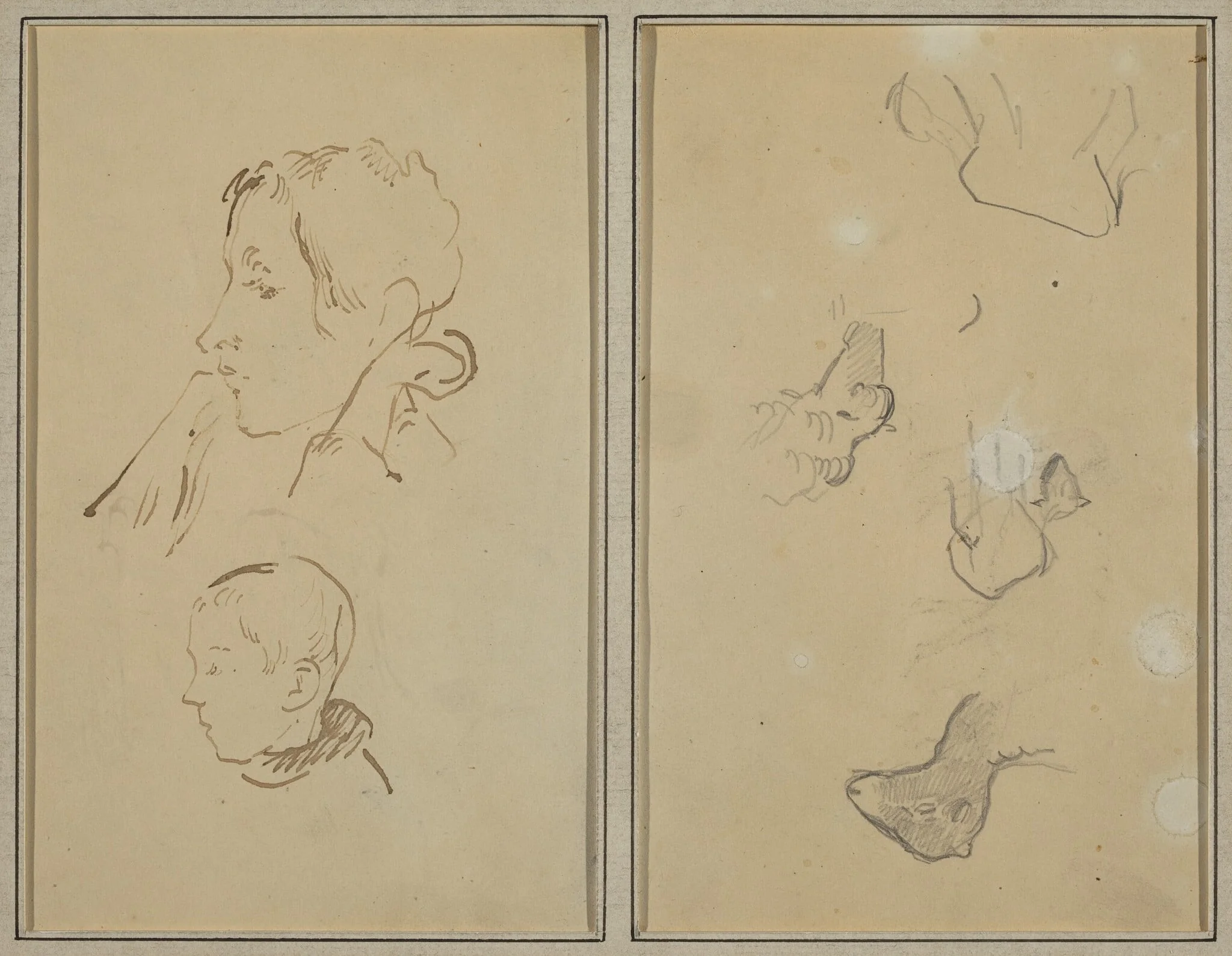 Two Heads; Studies of Sheep [recto], detail