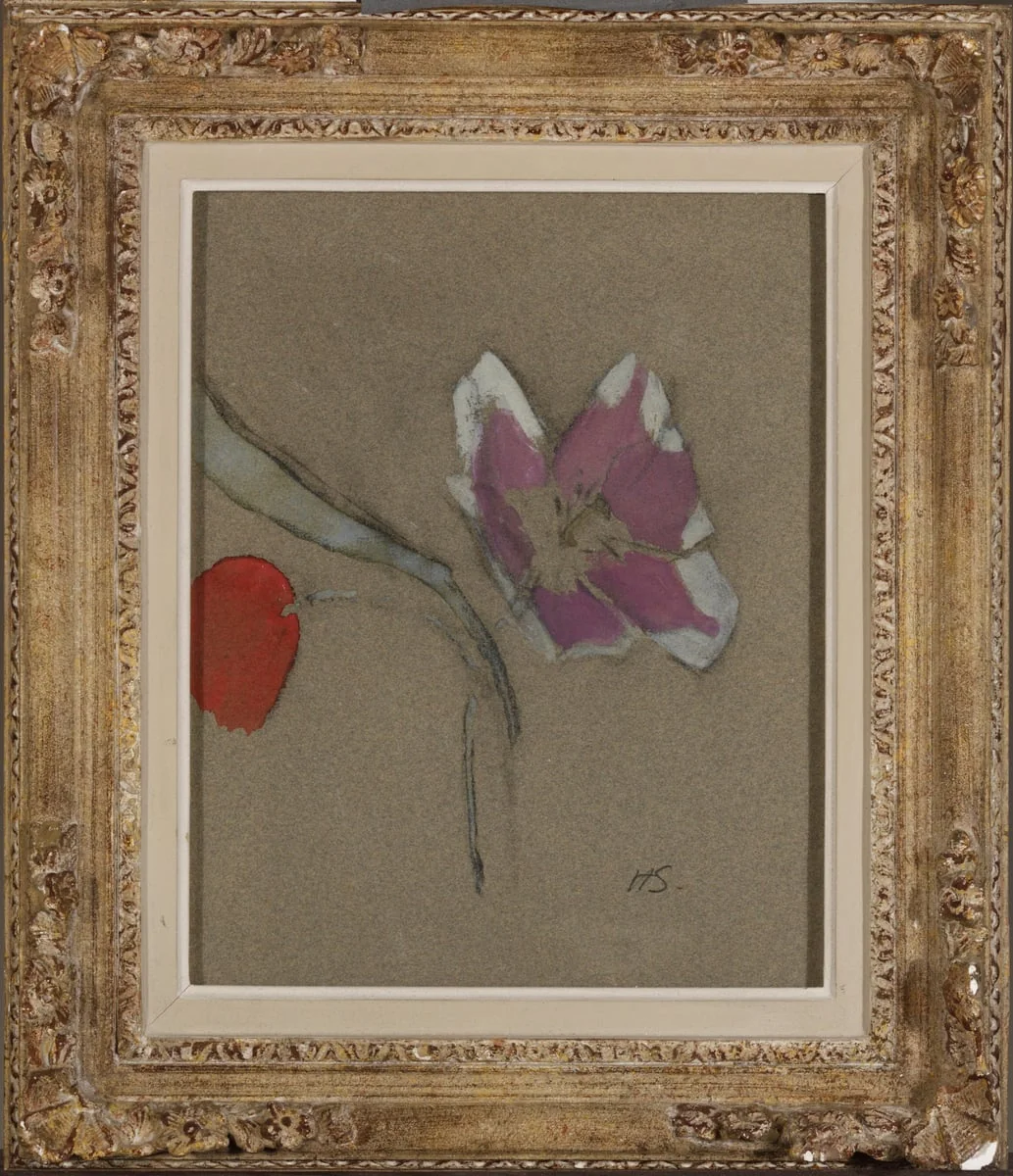 Anemone, detail