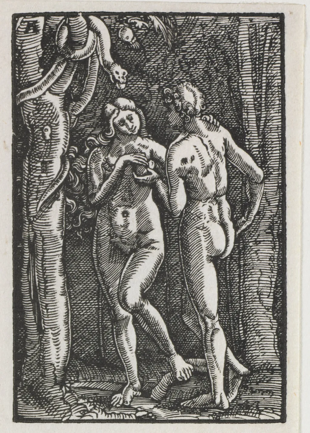 The Fall and Redemption of Man:  Adam and Eve Eating the Forbidden Fruit, by Albrecht Altdorfer, 1513