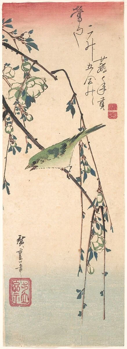 歌川広重画 梅に鶯|Warbler on a Plum Branch, detail