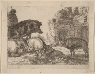 Pigs, by Herman van Swanevelt, ink, 1628