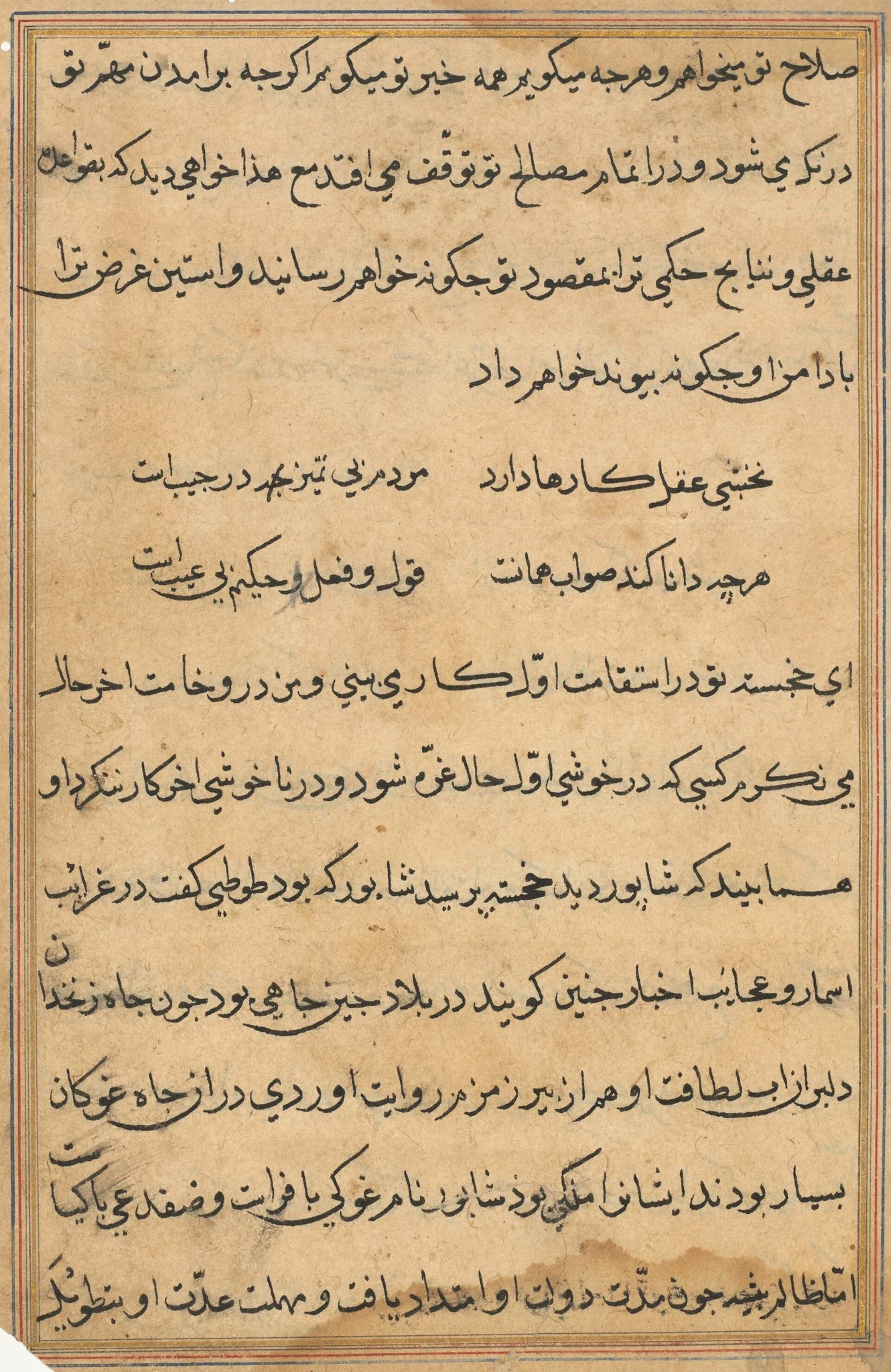 Page from Tales of a Parrot (Tuti-nama): text page, detail