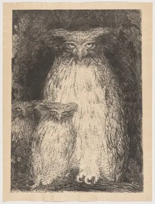 Grand-duc (Eagle Owl), by Henri de Groux, ink, 1895