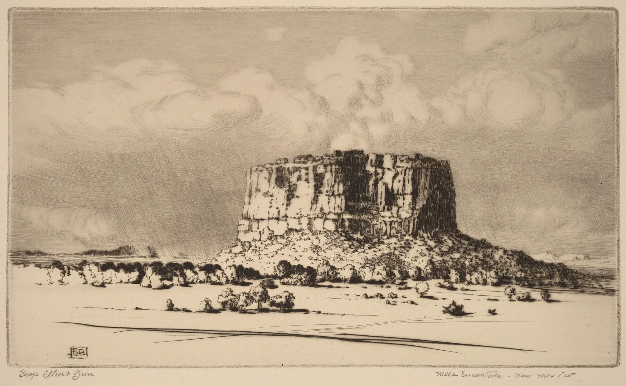 Mesa Encantada, New Mexico (no. 2), detail