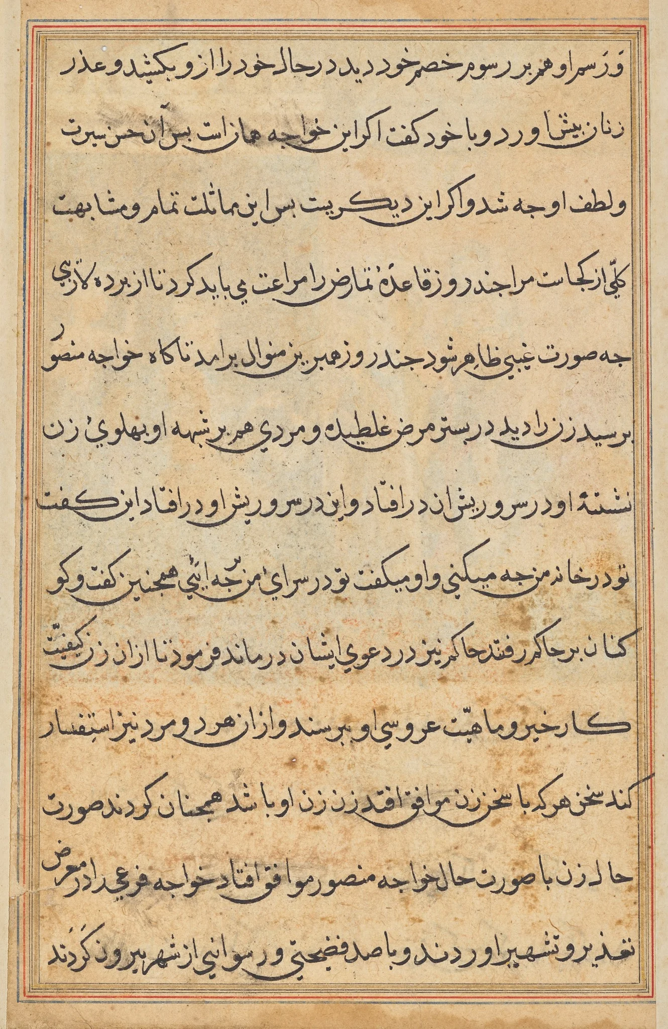 Page from Tales of a Parrot (Tuti-nama): text page, detail
