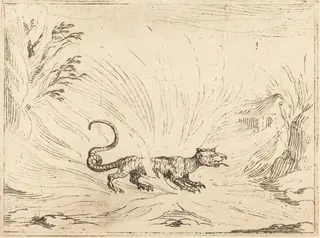 Salamander Surrounded by Flames, by Jacques Callot, ink, 1628