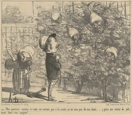 Mes pauvres raisons, si vous ne revenez pas à la sauté..., by Honoré Daumier, ink, 1853