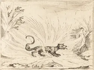 Salamander Surrounded by Flames, by Jacques Callot, ink, 1628