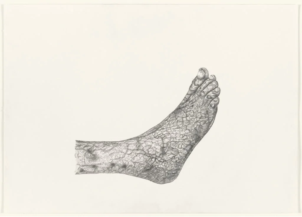 Untitled, detail