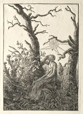 The Woman with the Spider Web between Bare Trees, by Caspar David Friedrich, 1803