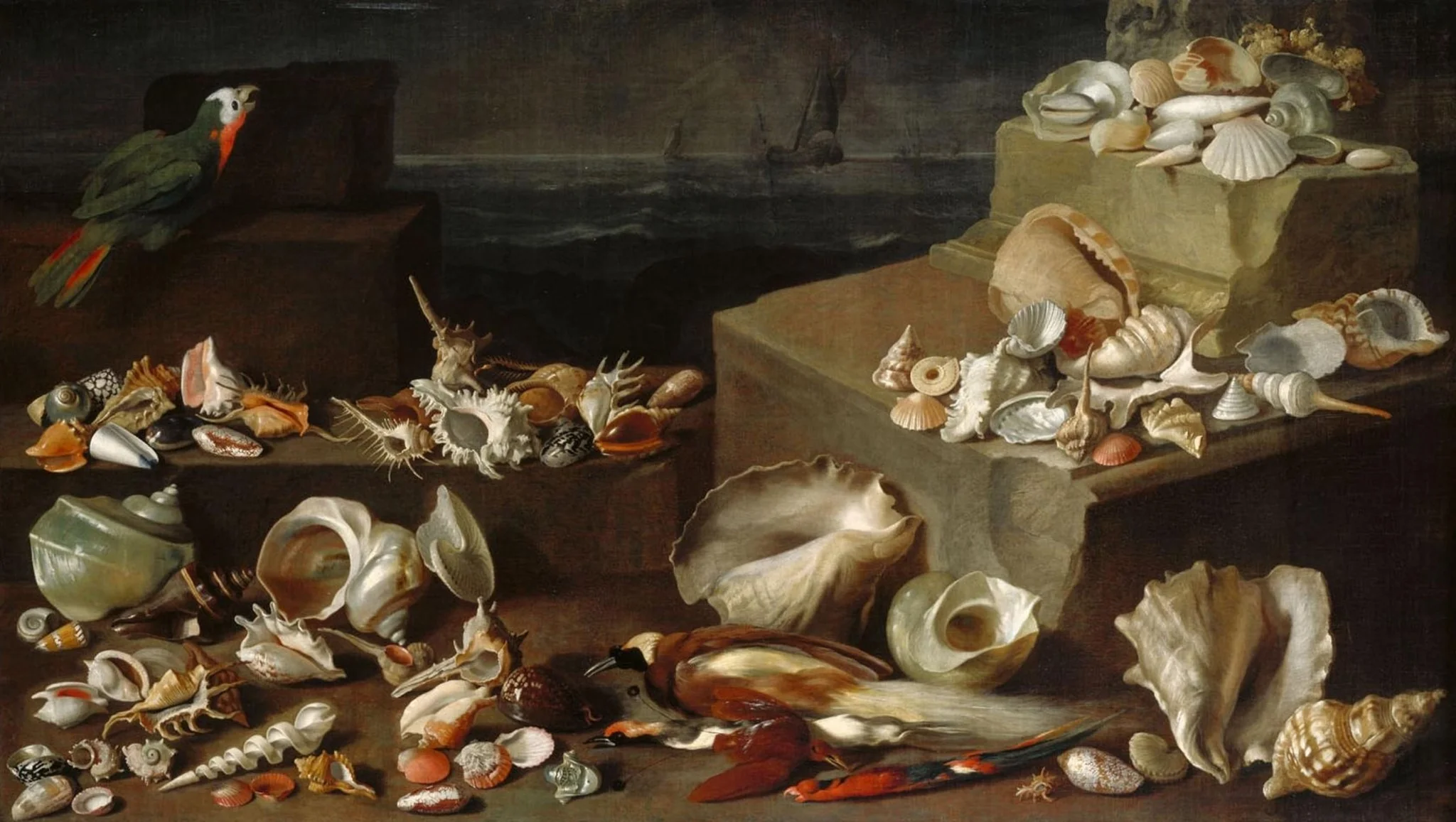 Stillleben mit Meeresschnecken und Muscheln, detail