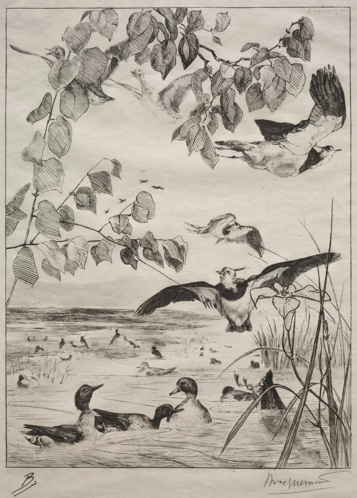 Lapwings and Teals, detail