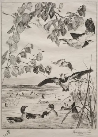 Lapwings and Teals, by Félix Bracquemond, 1862