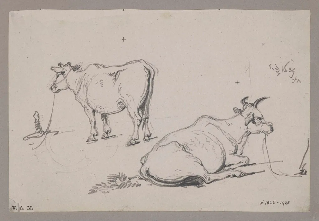 Two drawings of a cow, by George Chinnery, 12