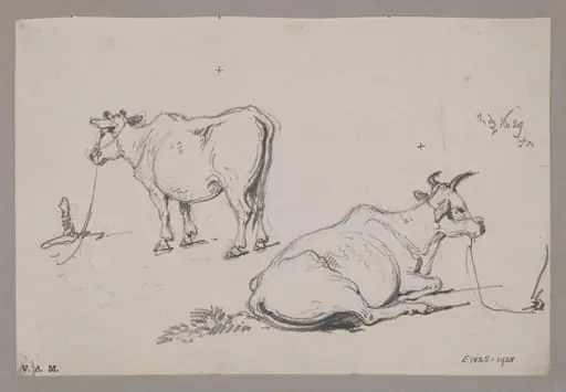 Two drawings of a cow, by George Chinnery, 12