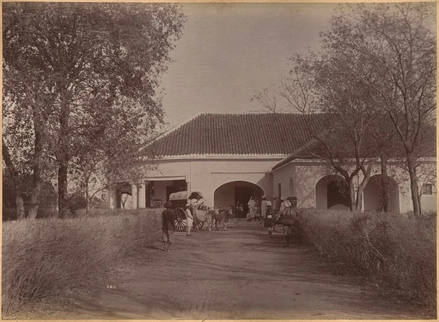 Mr. William's House, Jhansi (verso), detail