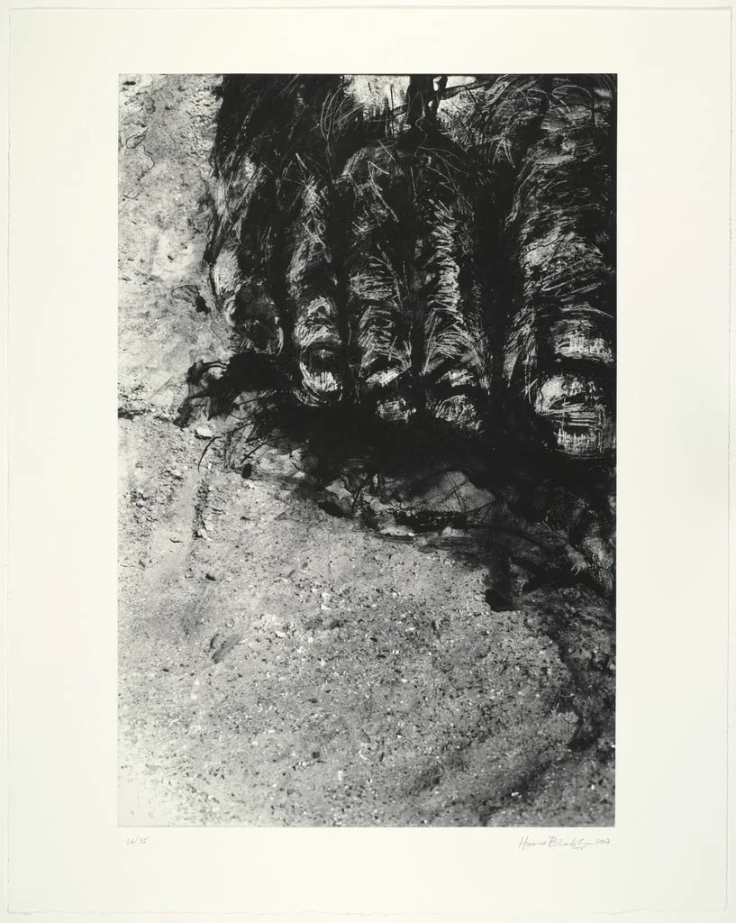 Untitled, detail