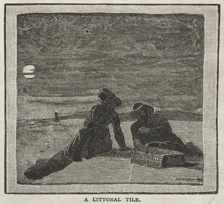 A Littoral Tile, detail