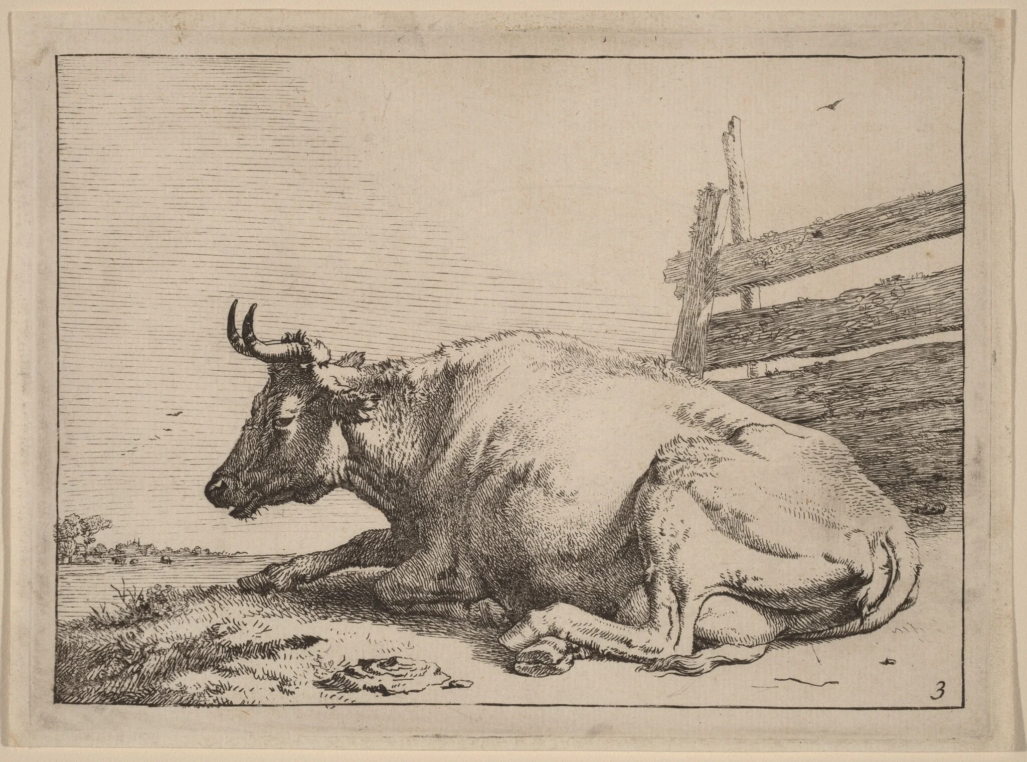Cow Lying Down near a Fence, detail