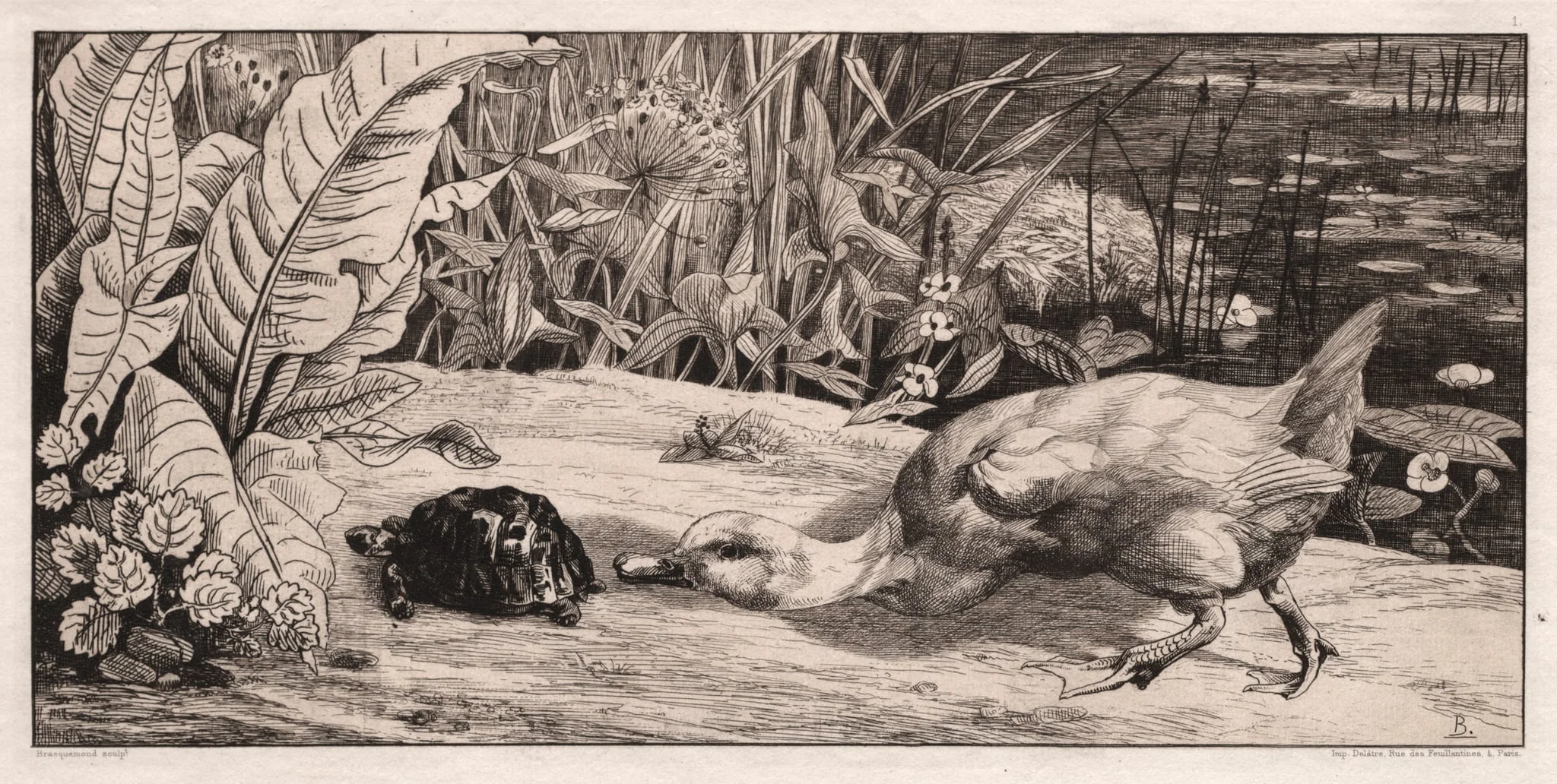 The Unknown, detail