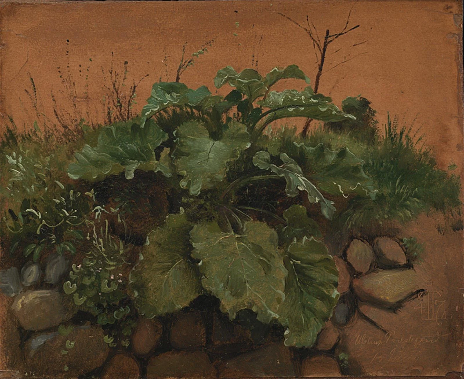 A Burdock and Other Plants on a Stone Wall, detail
