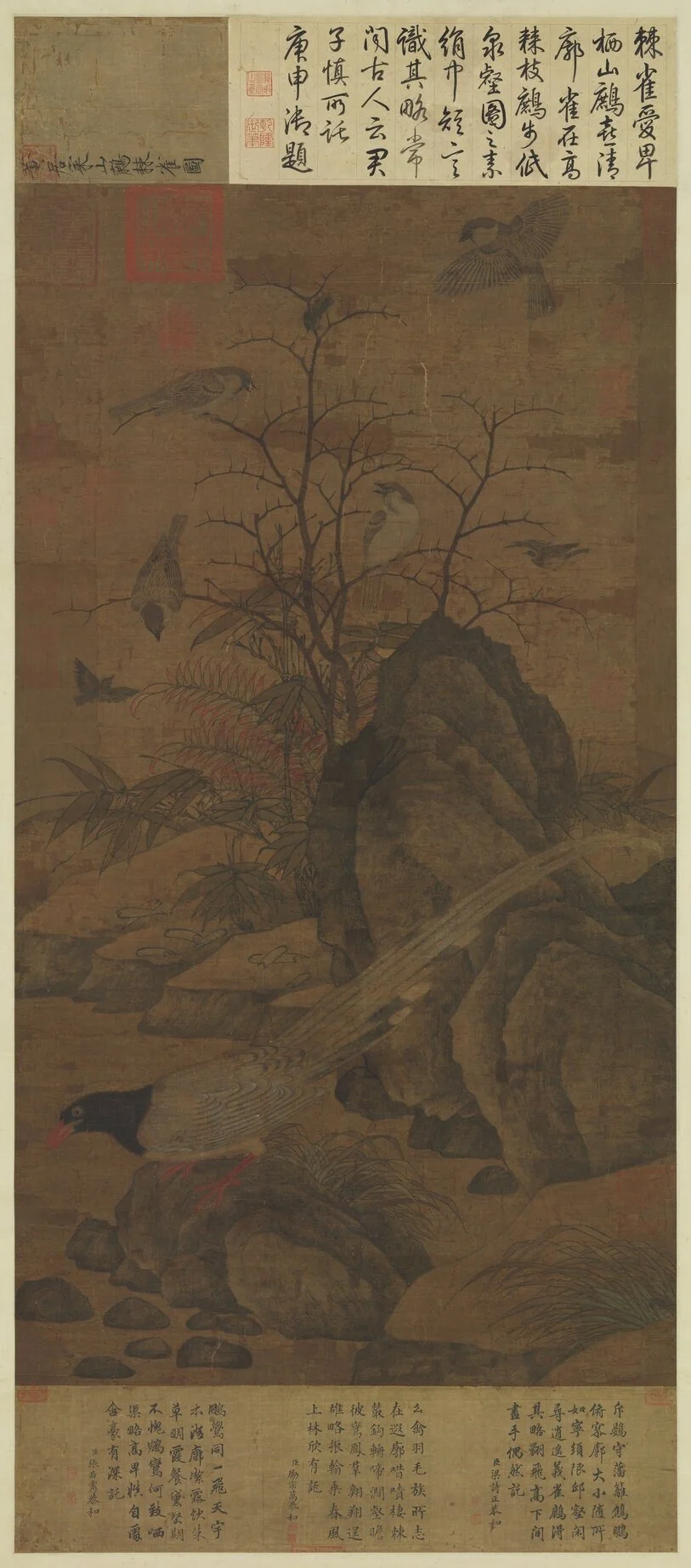 宋黃居寀山鷓棘雀圖 軸, detail