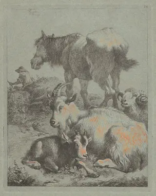 Horse, Ram, Goat with Kid; In the Distance a Shepherd with Flock, by Francesco Londonio, ink, 1759