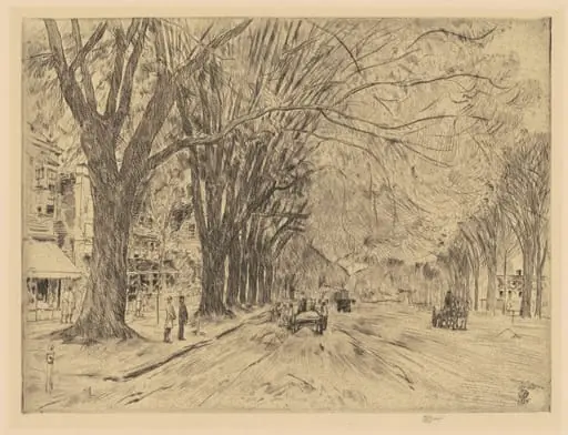 Easthampton Elm in May, by Childe Hassam, ink, 1925