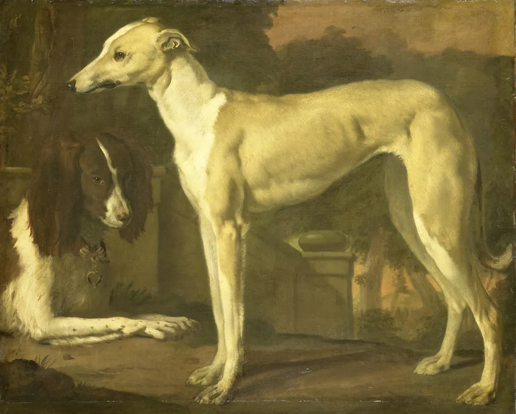 Portrait of a greyhound and a spaniel, by Jan Weenix, oil, 1672