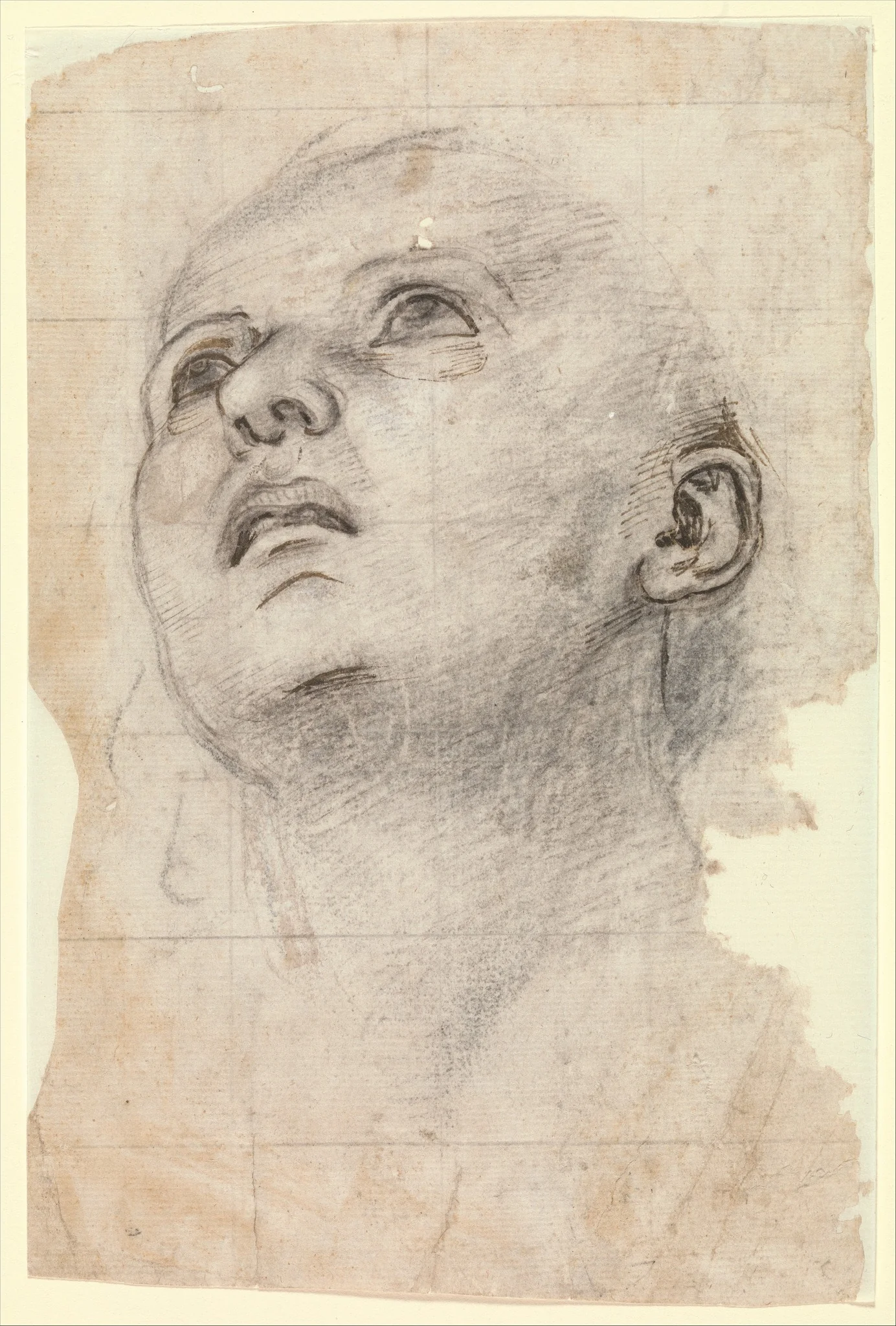 Study of the Head of a Youth Gazing Upward, detail