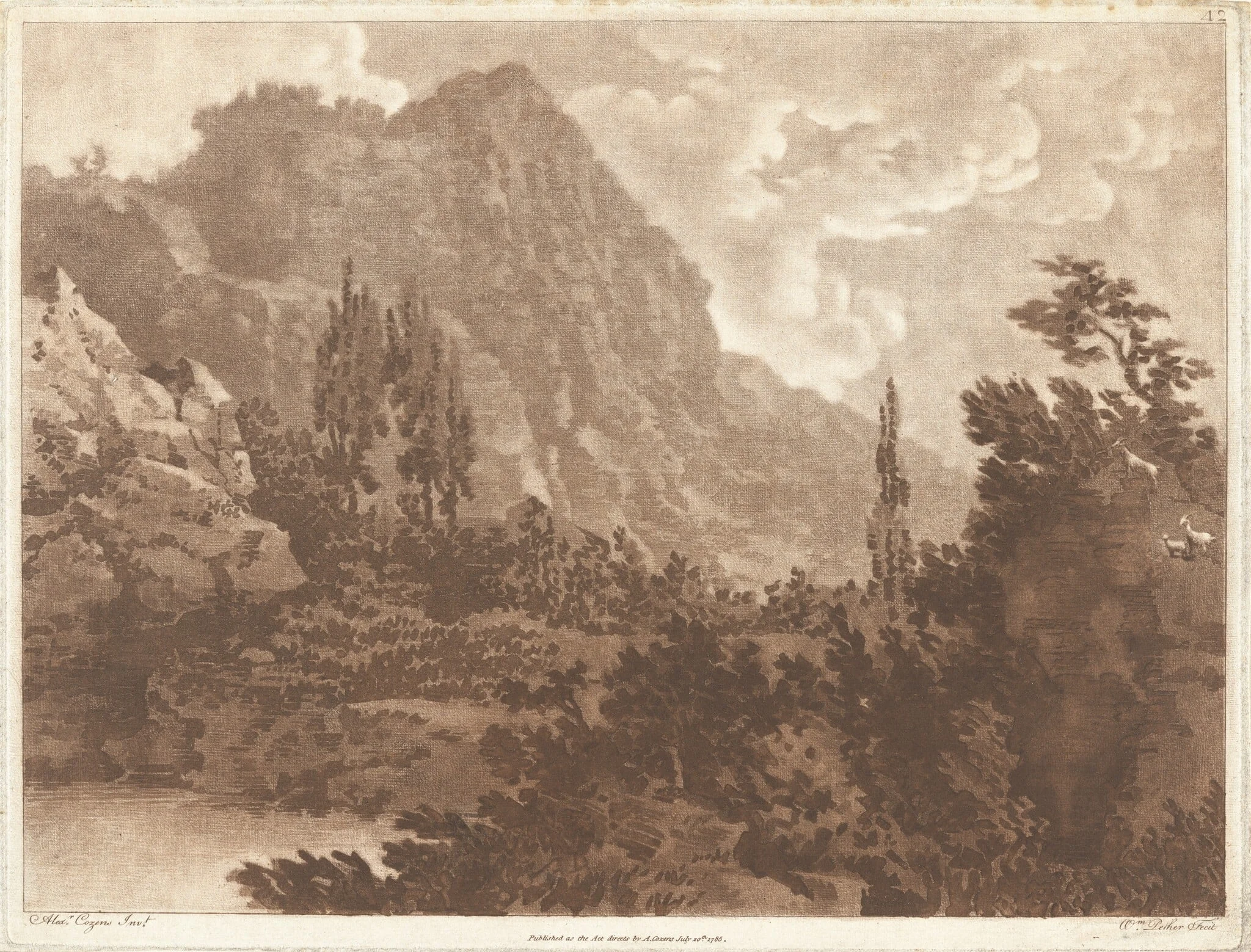 A second drawing done from the same blot, detail